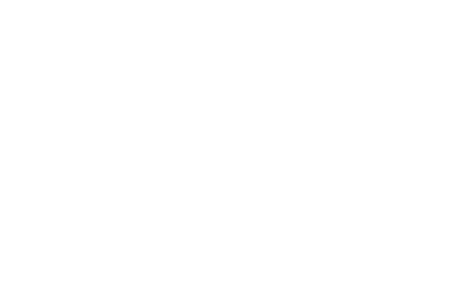 VertPro-Logo